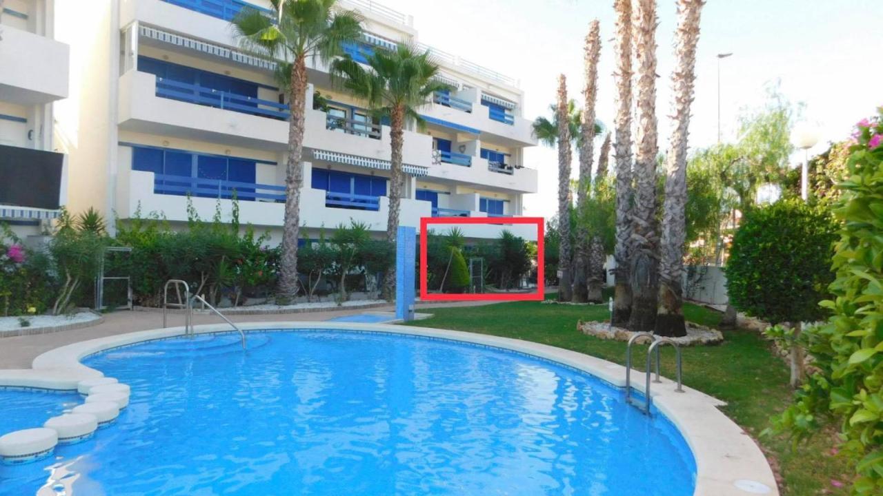 Ferienwohnung Coral House - La Calma - Playa Flamenca - Big Terrace & 4 Swimming Pools. Exterior foto